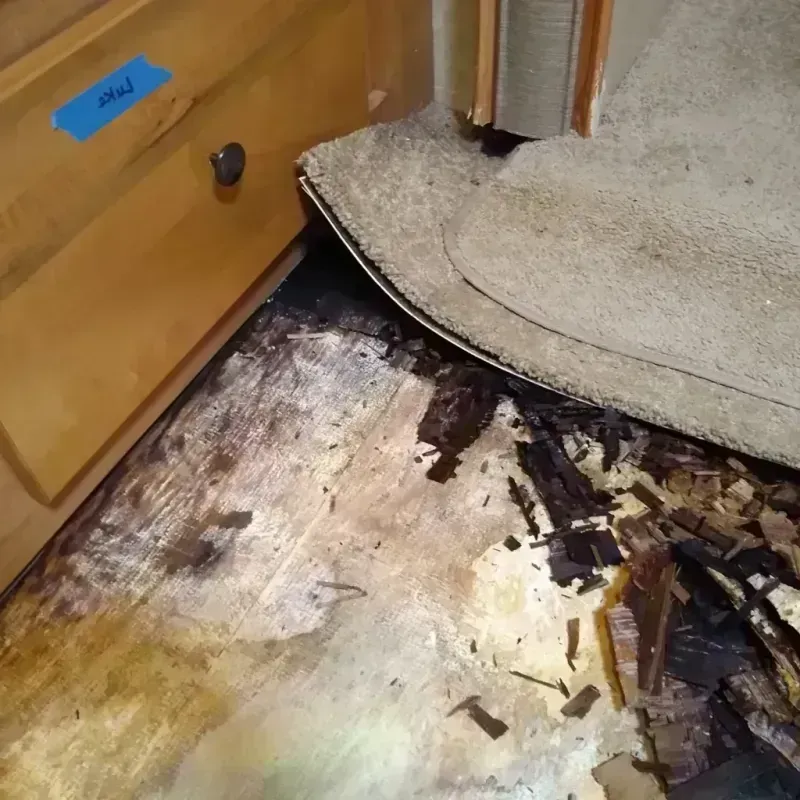 Wood Floor Water Damage in Saint Francis County, AR